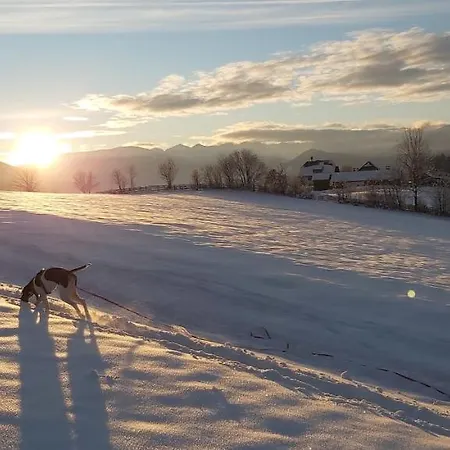 Schweizer Hof アパート タムスヴェーク