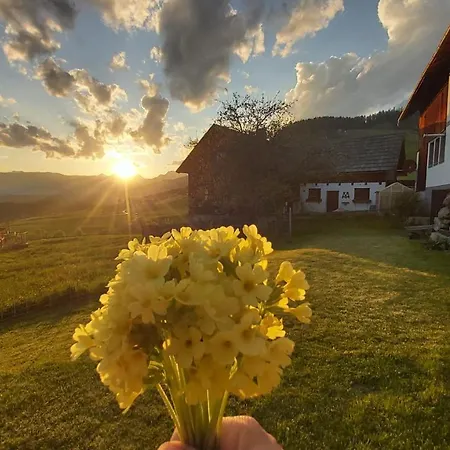 Schweizer Hof * Tamsweg