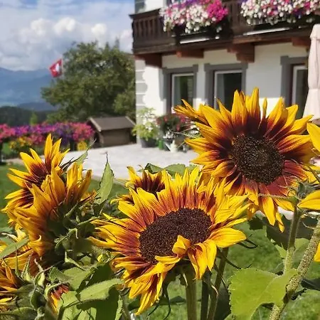 Schweizer Hof Tamsweg