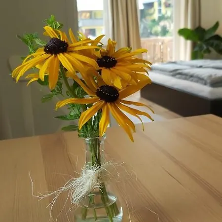 Schweizer Hof Appartement