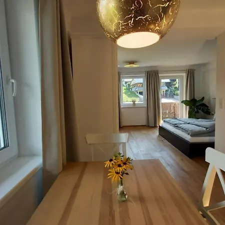 Apartment Schweizer Hof *