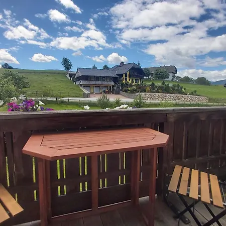 Schweizer Hof Apartament