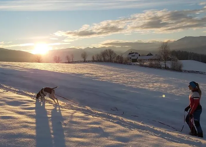 Schweizer Hof アパート タムスヴェーク