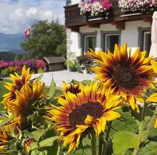 Schweizer Hof タムスヴェーク